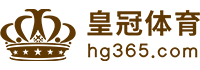 Logo 环球